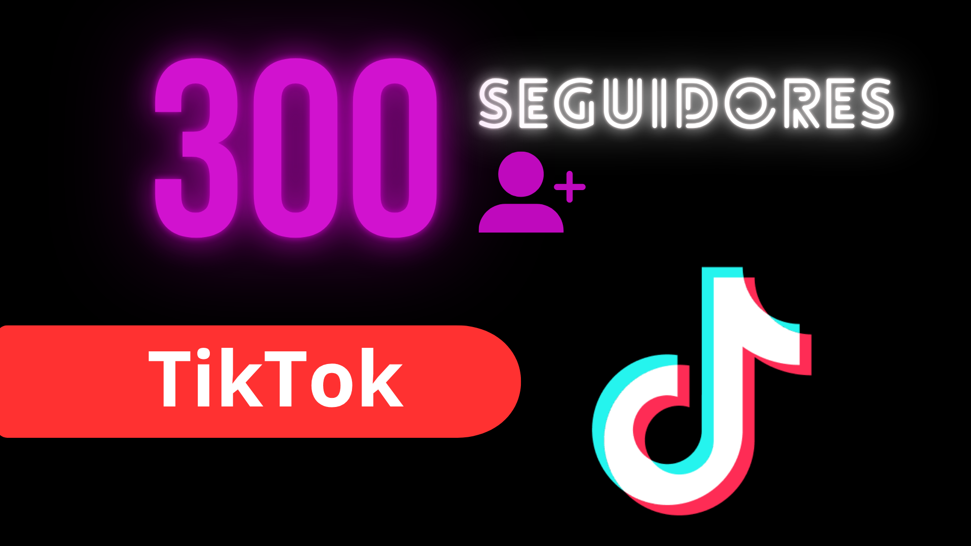 TIK TOK SEGUIDORES - 300