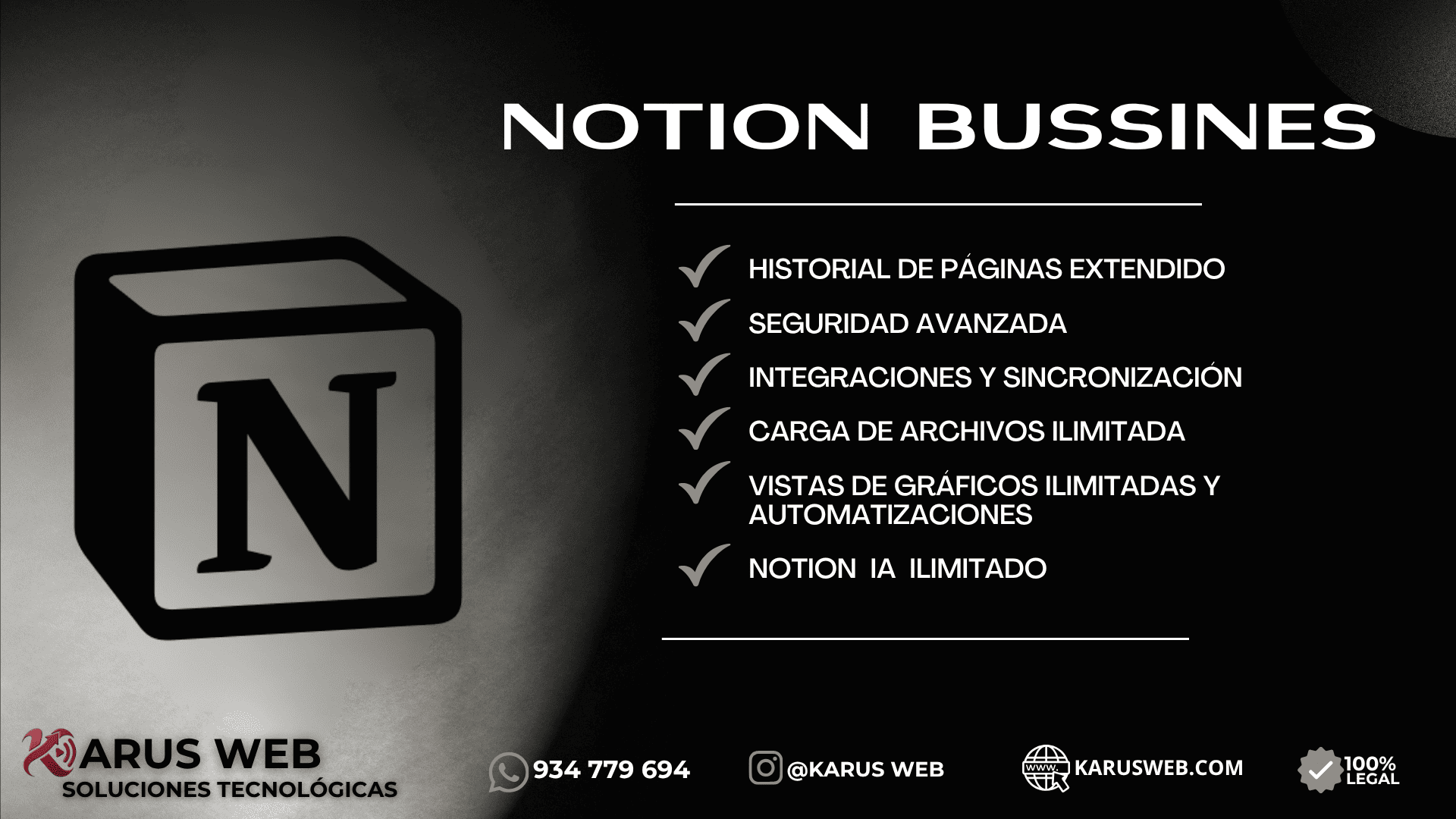 NOTION BUSSINES 3 MESES